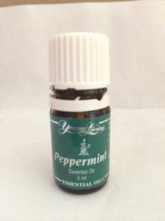 Peppermint oil for home made chocolate