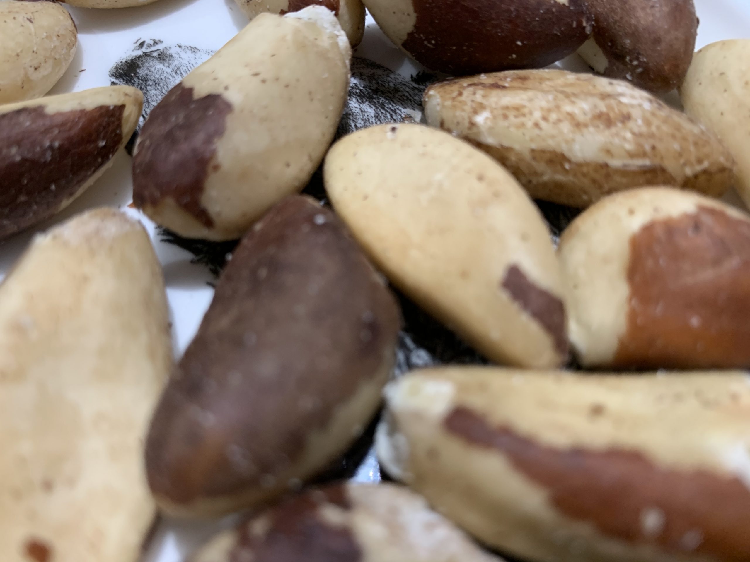 raw plant based nut paste thermomix