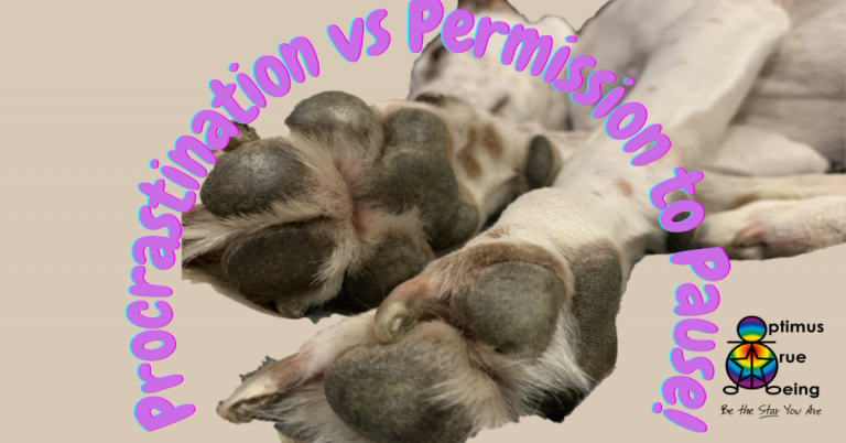 Procrastination vs permission to pause, kinesiology, mind body medicine