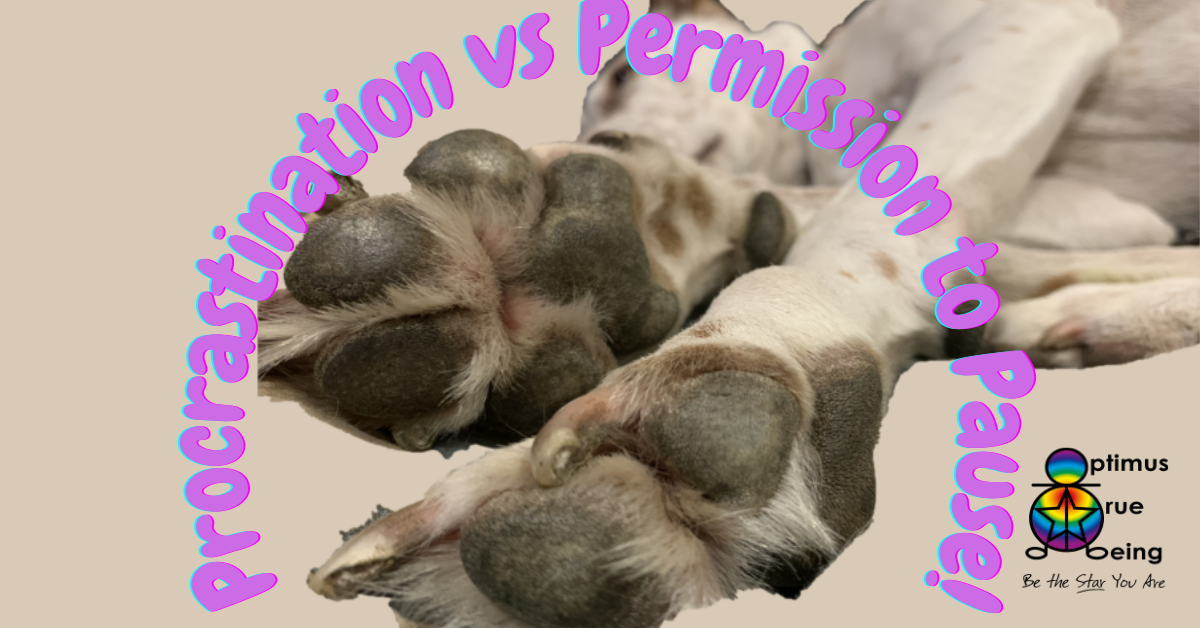 Procrastination vs permission to pause, kinesiology, mind body medicine
