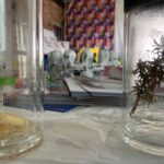 Keep calm connect and create with Kinesiology Group in Tascott Central Coast