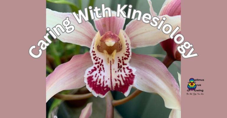 Caring with Kinesiology on the Central Coast